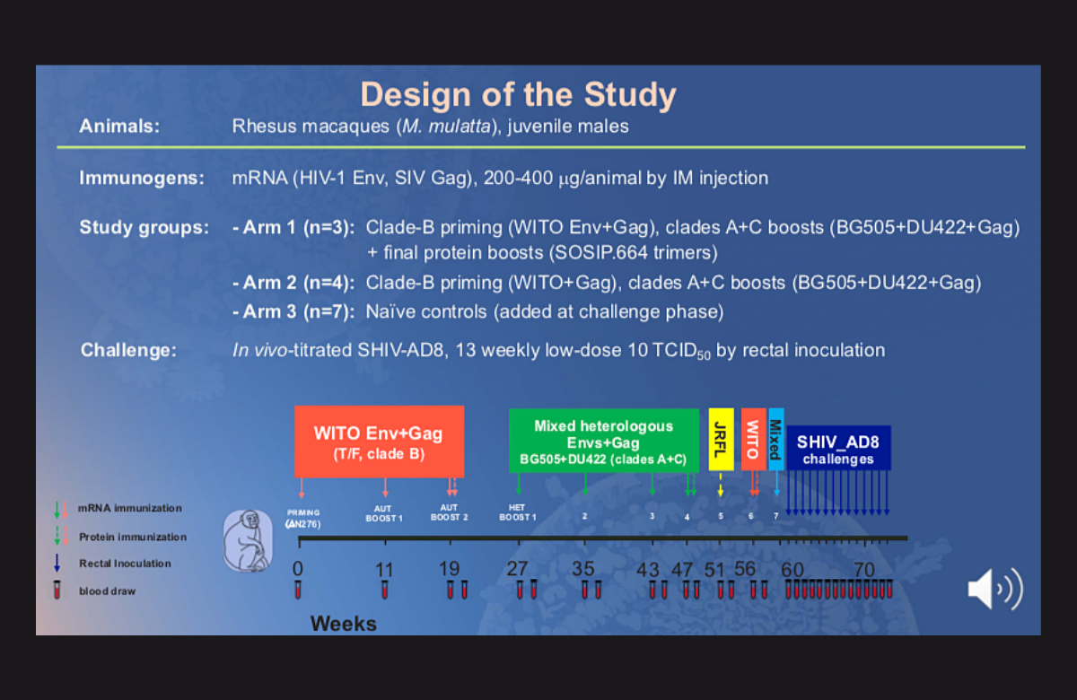 Slide from Dr Peng Zhang's presentation to CROI 2021. 