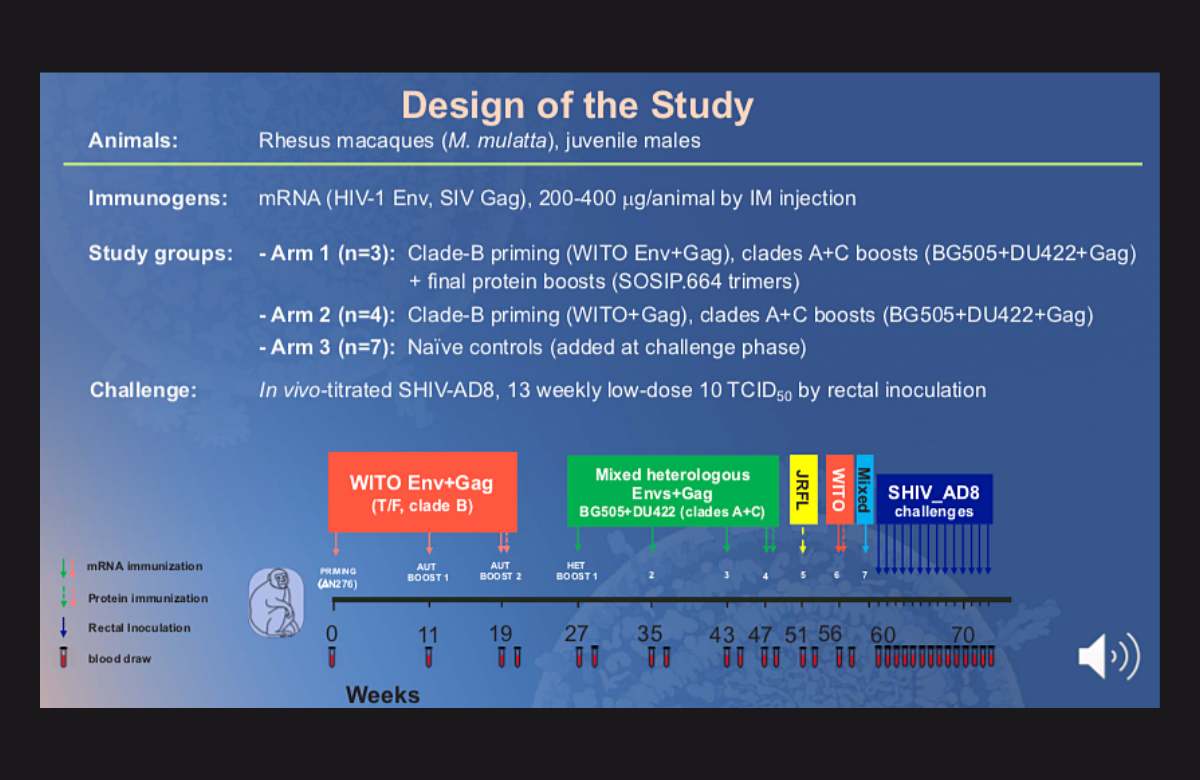 Diapositivo da apresentação do Dr Peng Zhang's na CROI 2021. 