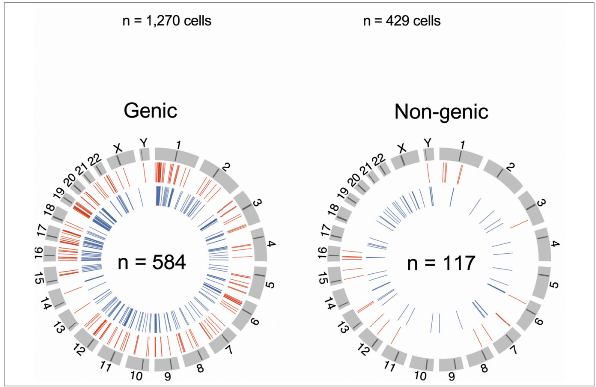 Figure from the journal article shows how all the pieces of proviral DNA found in all six study participants' cells were distributed around the 23 pairs of chromosomes in the cells' nuclei.