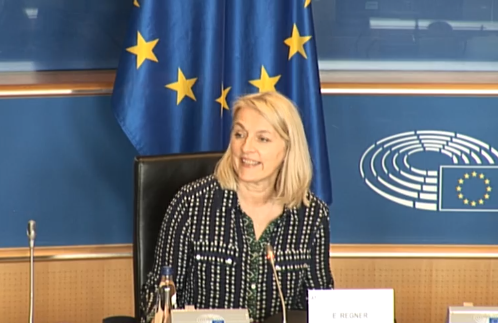 Evelyn Regner MEP, co-chair of the hearing.