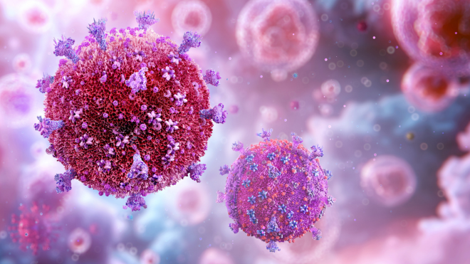 Illustration of HIV cells in pink and purple.