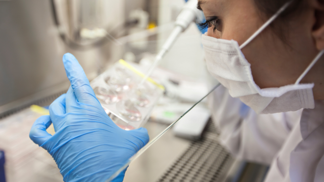 Close-up of a researcher in a lab wearing a mask and blue gloves, holding a large pipette and a tray of samples.