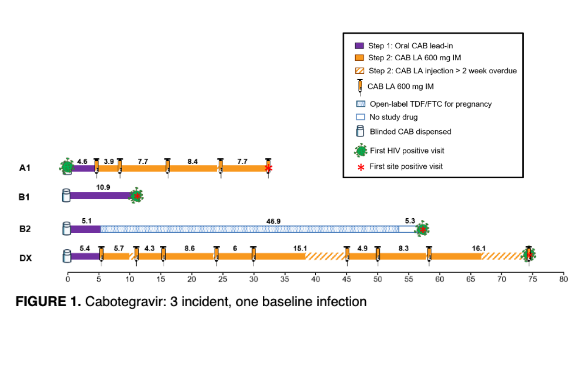 Diagram from Dr Sinead Delany-Moretlwe's e-poster presentation.