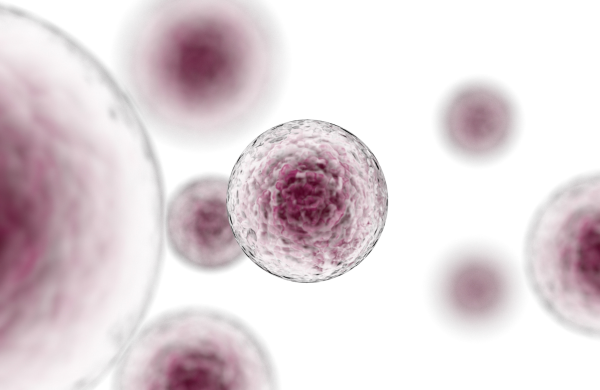 Illustration of stem cells.