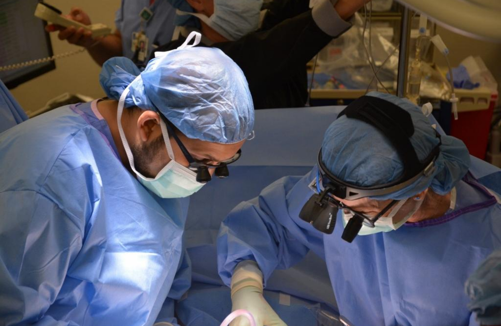 Image: A transplant in progress. Scott & White Healthcare. Creative Commons licence.