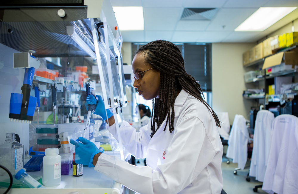 Image: Africa Health Research Institute