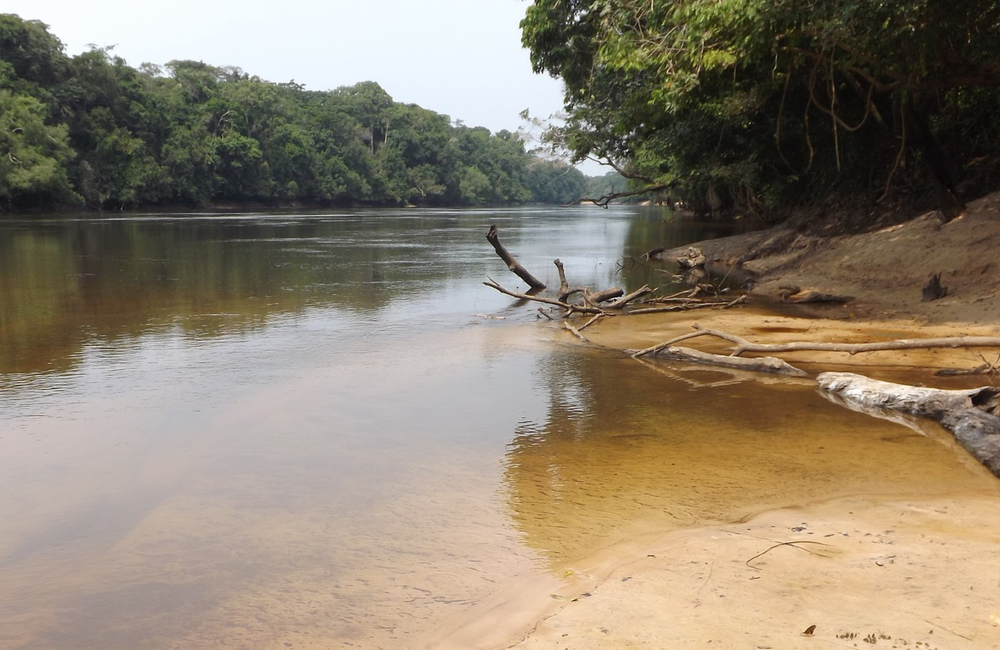 Democratic Republic of the Congo. Image by Christina Bergey. Creative Commons licence.
