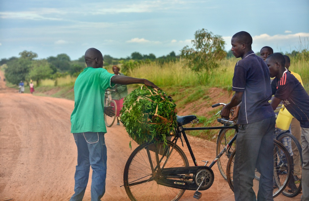 Roadside, Uganda. Image by Rod Waddington. Creative Commons licence.
