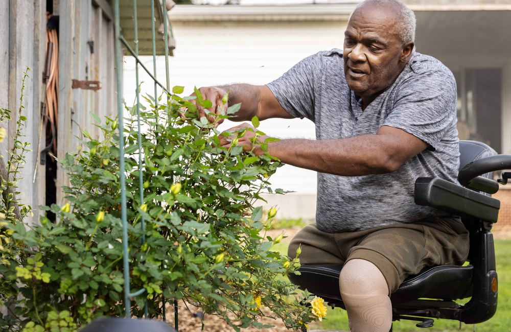 An older man sits in a wheelchair and tends to a plant in a garden. 