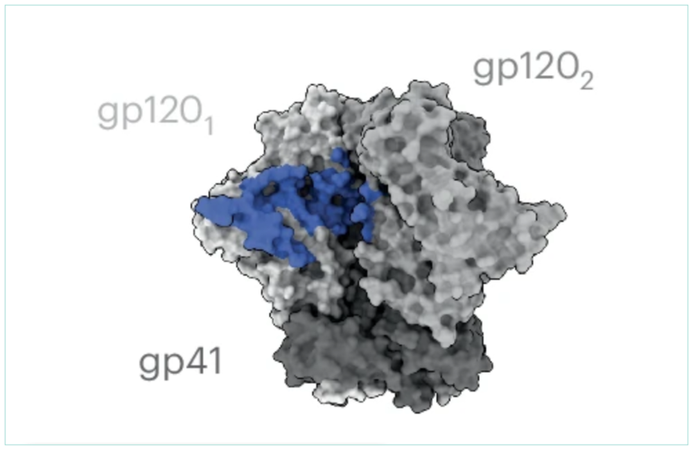 Antibody from Tanzanian woman suppresses almost all tested HIV variants including resistant viruses in pre-clinical study